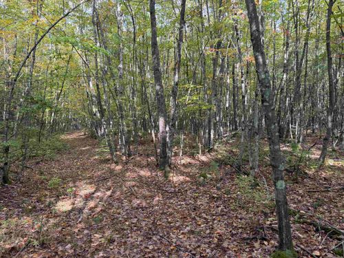 49 Quinns Field, Rochester, NH, 03867 | Card Image
