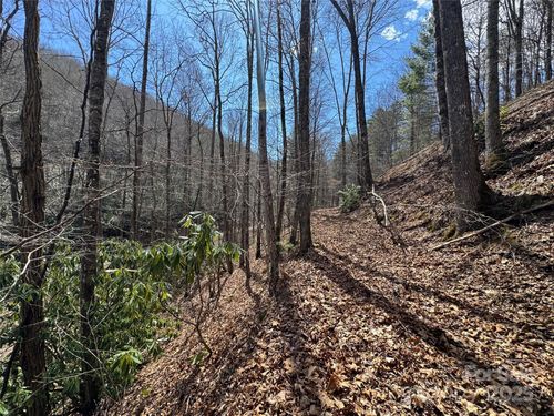22-00 Thomas Brooks Dr, Whittier, NC, 28789 | Card Image