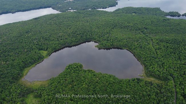 0 Harburn Rd, Home with 0 bedrooms, 0 bathrooms and null parking in Haliburton ON | Image 8