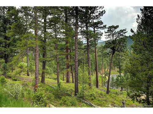 6875 Lynx Lair Rd, Evergreen, CO, 80439-6589 | Card Image