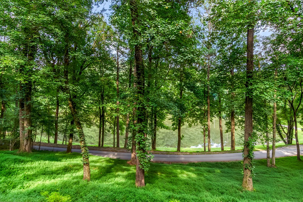 Residential in Ellijay 3