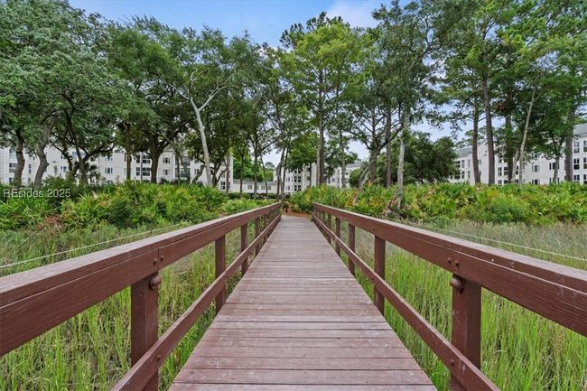 A look back at the property - beautiful! | Image 40