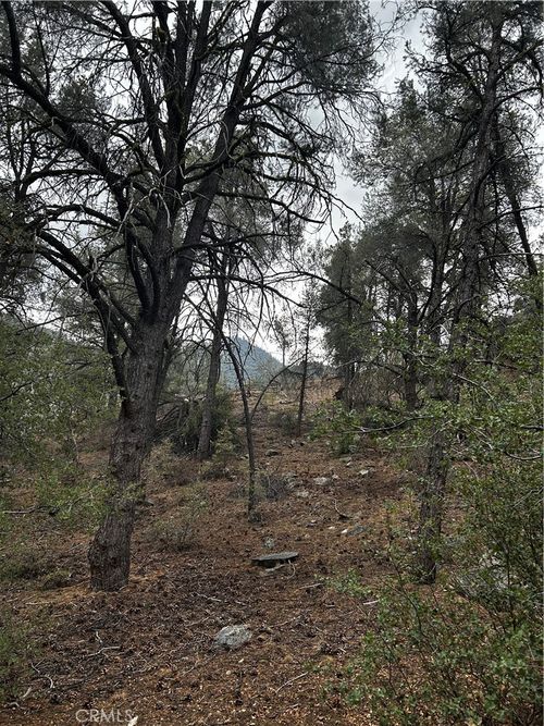 14208 Yellowstone Dr, Frazier Park, CA, 93225-9539 | Card Image
