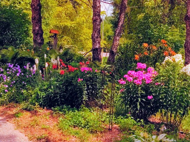 Pretty landscaping around the park | Image 11