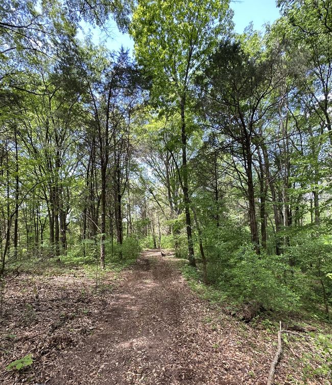 66 Thompson Hollow Rd, Home with 0 bedrooms, 0 bathrooms and null parking in Taft TN | Image 5