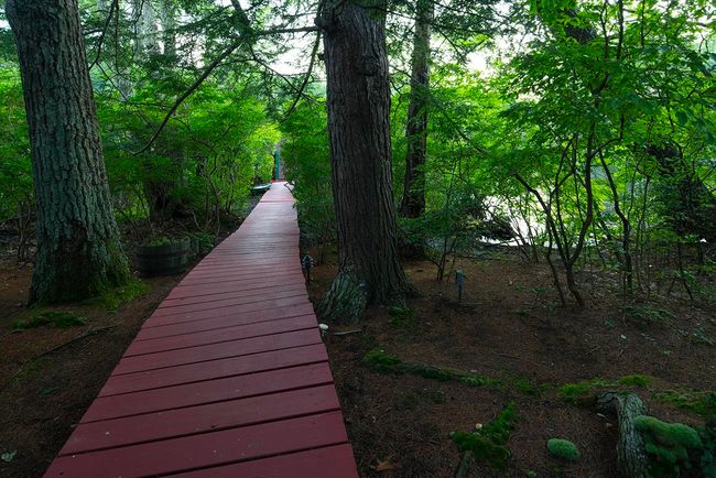 1 Little Beaver Is, House other with 4 bedrooms, 1 bathrooms and null parking in Meredith NH | Image 34