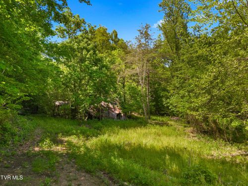 1243 Brandon Hollow Ln, Bulls Gap, TN, 37711-8004 | Card Image