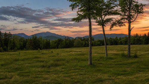 8 Upper Trail, Lake Placid, NY, 12946 | Card Image