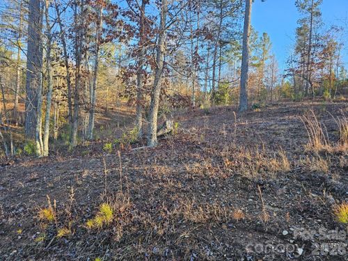 2167 Inlet Shore Rd, Connelly Springs, NC, 28612-8089 | Card Image