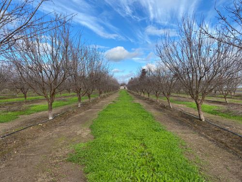 17751 Sexton Road, Escalon, CA, 95320 | Card Image