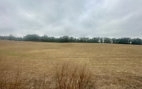 0 Nw 31st Ave, BELL, FL, 32619 | Card Image