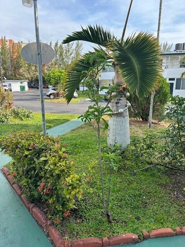 APT-115 - 18720 Ne 18 Th Ave, Condo with 1 bedrooms, 1 bathrooms and null parking in Miami FL | Image 5