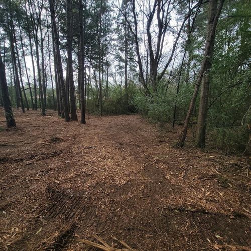 LOT 6 Blue Jay Dr, Kountze, TX, 77625-6026 | Card Image