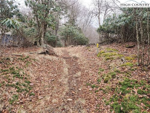 TBD Staghorn Hollow Rd, Banner Elk, NC, 28604 | Card Image