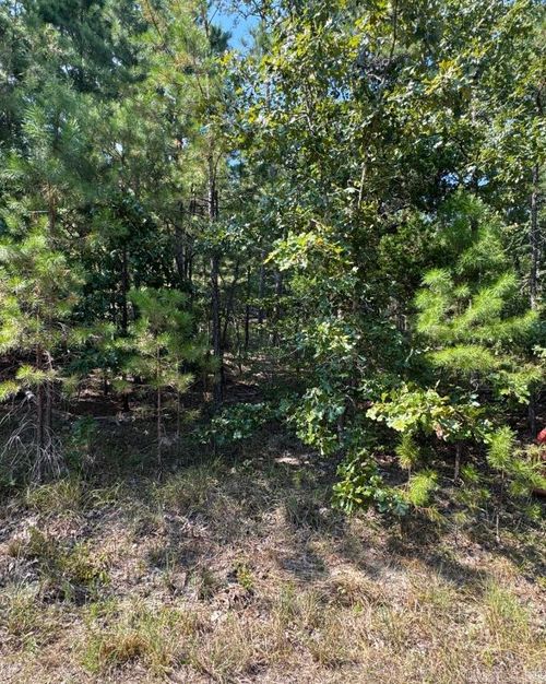 63 Tomelloso Way, Hot Springs Village, AR, 71909 | Card Image