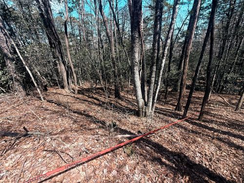 TBD Minerva Ln, Sapphire, NC, 28774 | Card Image