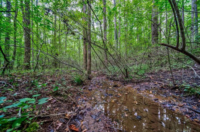 0 Borrow Pit Rd, Home with 0 bedrooms, 0 bathrooms and null parking in douglasville GA | Image 4