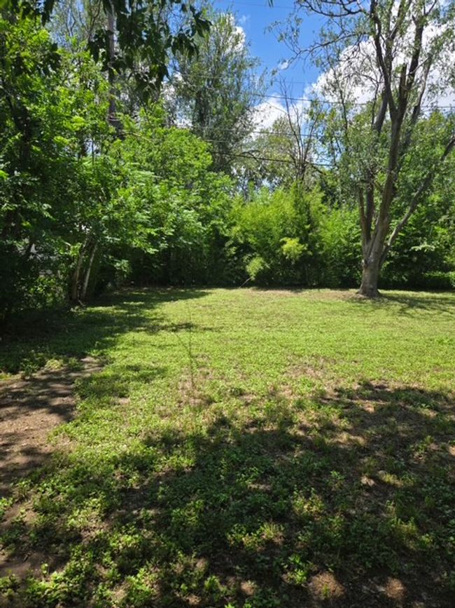 Backyard | Image 19