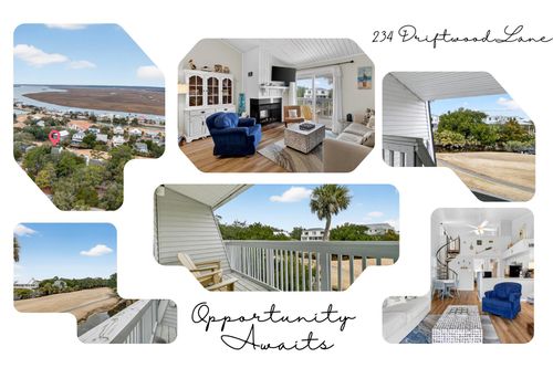 234 Driftwood Ln, Edisto Island, SC, 29438-3625 | Card Image