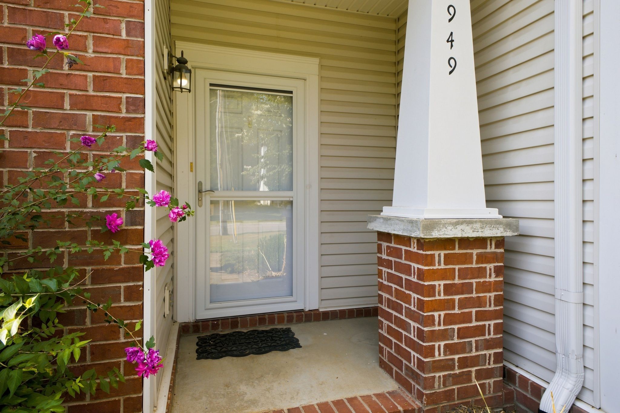 Residential in Smyrna 3