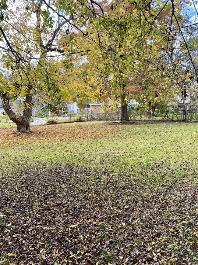 547 Trinity Ave, House other with 3 bedrooms, 1 bathrooms and null parking in Port Arthur TX | Image 18