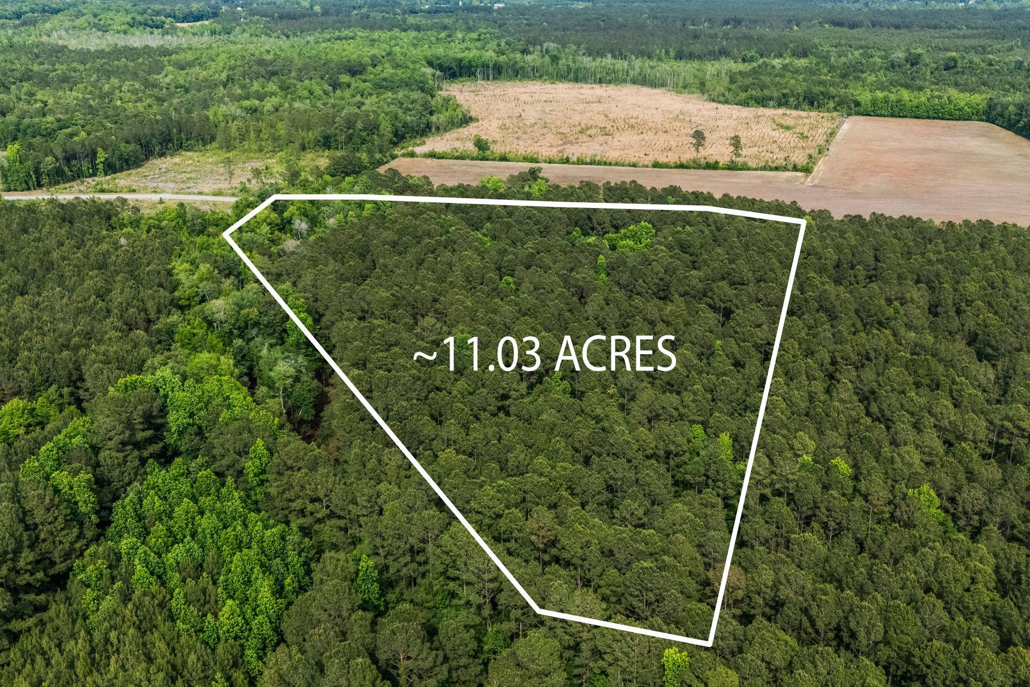 Land in Loris 4