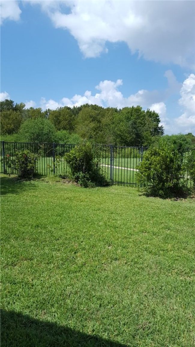 View of yard | Image 16