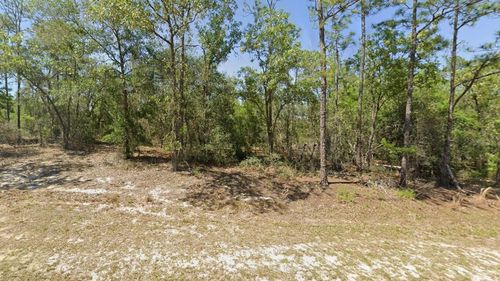 00 Sw Rainbow Lakes Blvd, DUNNELLON, FL, 34431 | Card Image