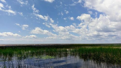 57528 Blue Goose Ln Ne, Waskish, MN, 56685 | Card Image