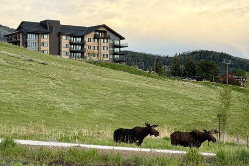 202-1550 Amble Drive, Steamboat Springs, CO, 80487 | Card Image