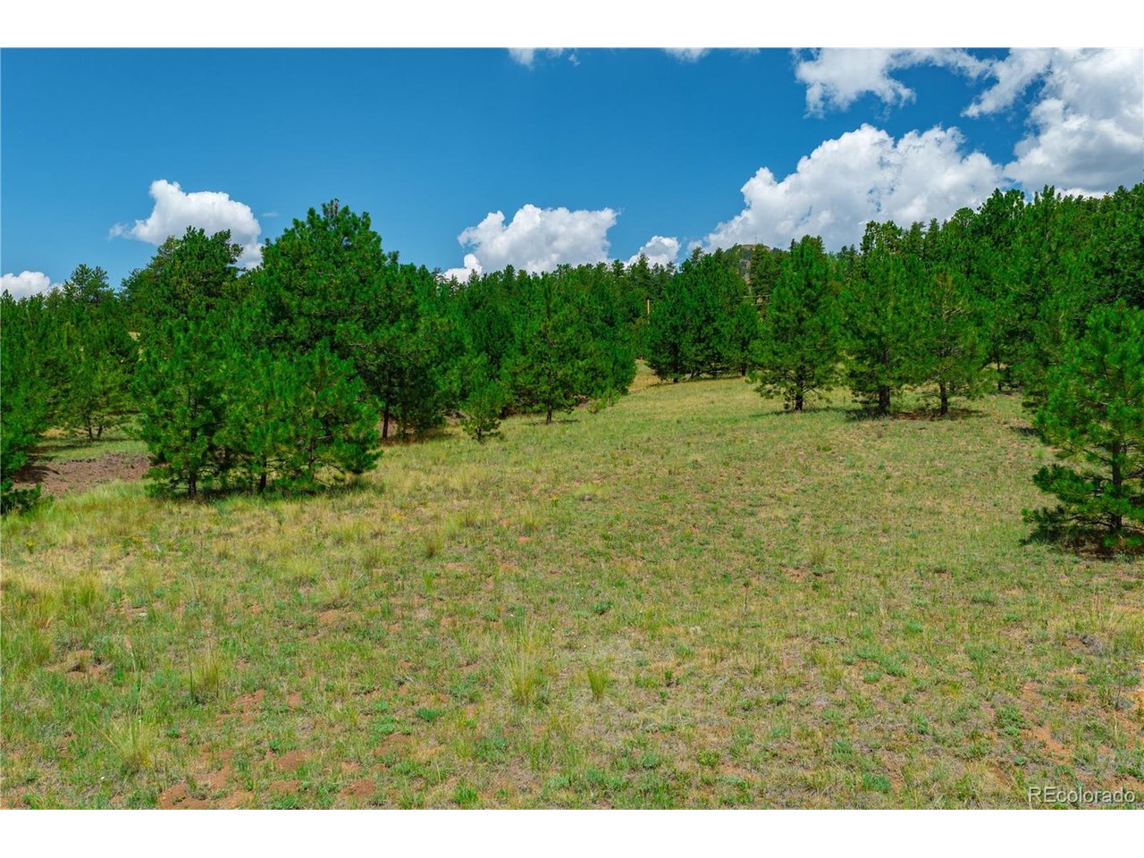 Land in Cripple Creek 3