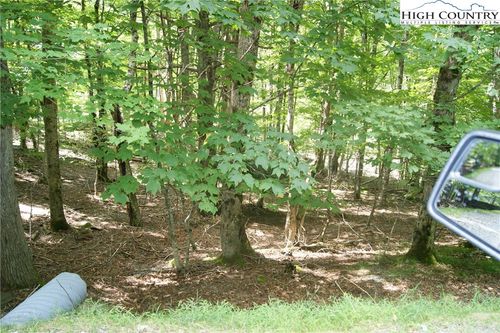 109 Lower Grouse Ridge Rd, Beech Mountain, NC, 28604-8125 | Card Image