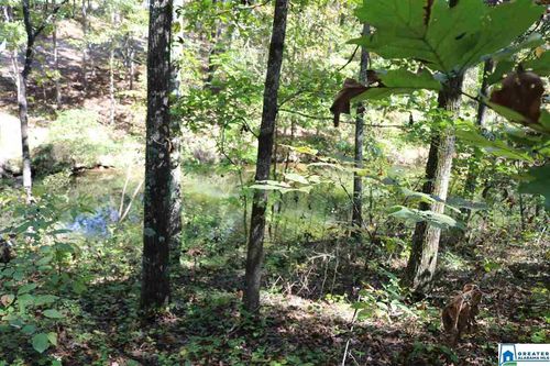 42-42 Fishers Way, VINCENT, AL, 35178 | Card Image