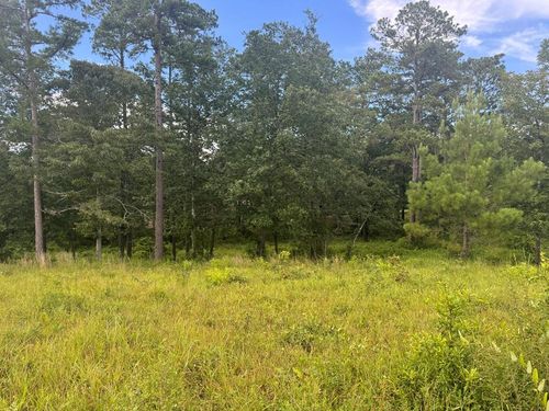 0 George Ford Rd, Carriere, MS, 39426 | Card Image