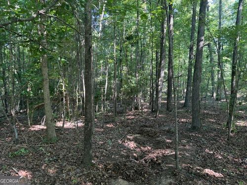 0 Wildwood Ln, Thomson, GA, 30824 | Card Image