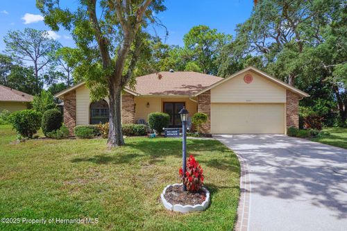 6421 Pine Meadows Dr, SPRING HILL, FL, 34606-3343 | Card Image