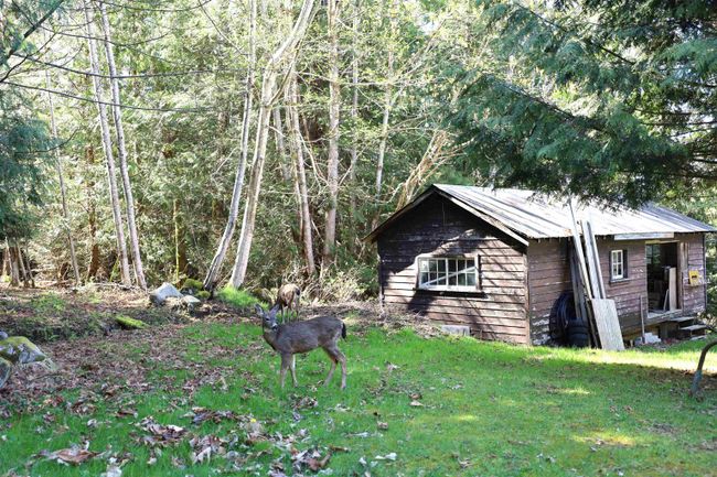 12815 Sunshine Coast Highway, House other with 3 bedrooms, 2 bathrooms and null parking in Madeira Park BC | Image 29