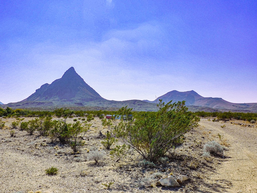 Land in Terlingua 3