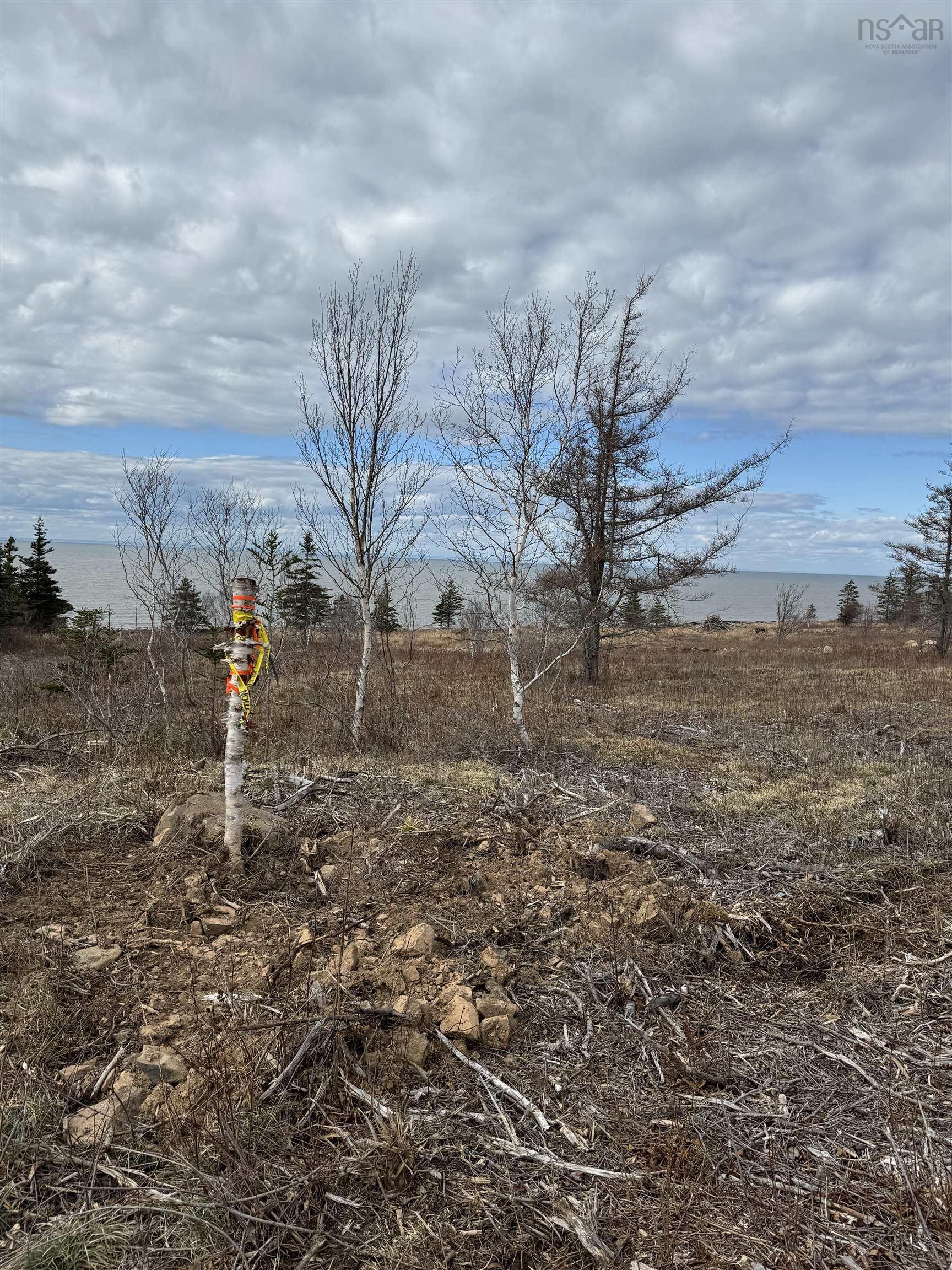Land in Phinneys Cove 4