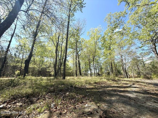 48 Sunset Point Rd, Home with 0 bedrooms, 0 bathrooms and null parking in Belhaven NC | Image 15