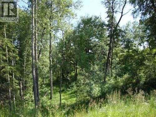 45 Lakeside Drive, Perch Lake, SK, S0M2G0 | Card Image