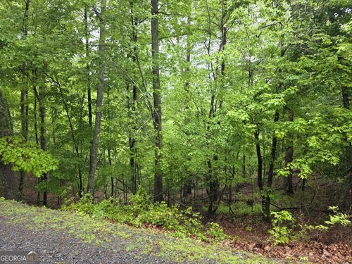 LT 937 Myna Dr, Ellijay, GA, 30540 | Card Image