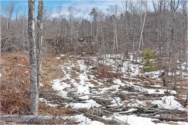 48 Durkin Rd, Home with 0 bedrooms, 0 bathrooms and null parking in North Creek NY | Image 56