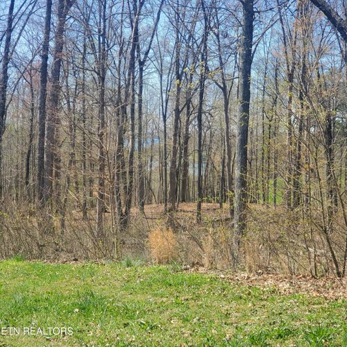 Lot 136 Tumbleweed Trl, Rutledge, TN, 37861-3105 | Card Image