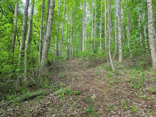TBD Bent Nail Rd, Hillsville, VA, 24343 | Card Image