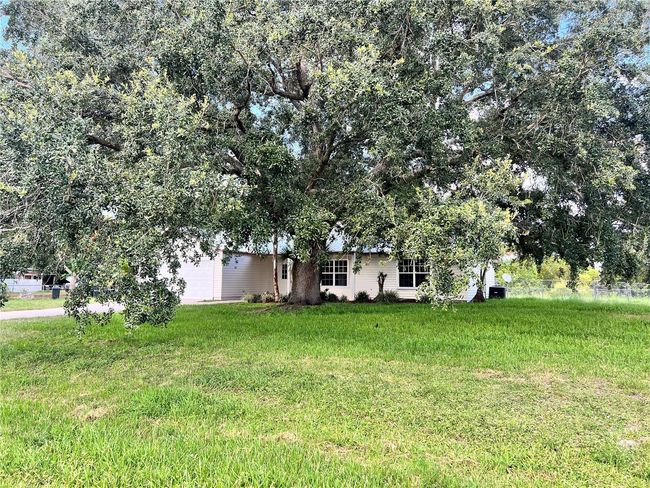 Front yard large grandfather oak | Image 8