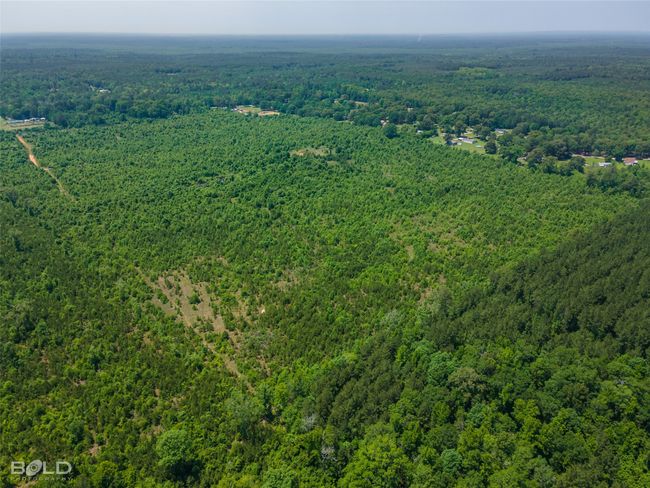 0 Bellevue Rd, Home with 0 bedrooms, 0 bathrooms and null parking in Haughton LA | Image 15