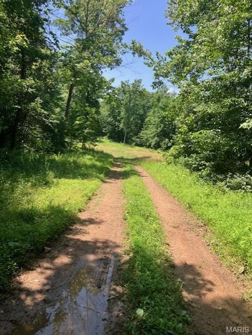 250 Madison Cr 410, Fredericktown, MO, 63645 | Card Image