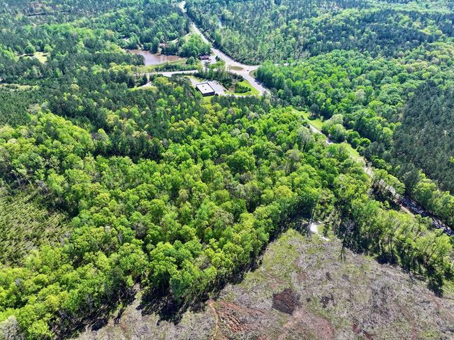 0 Ga Highway 87, Home with 0 bedrooms, 0 bathrooms and null parking in Juliette GA | Image 4