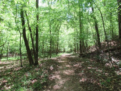 0 Chestatee Dr, Dahlonega, GA, 30533 | Card Image